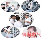 一流的服務(wù)，展示安徽得潤電氣風(fēng)采