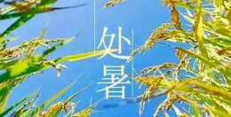 處暑|暑漸去，秋意來